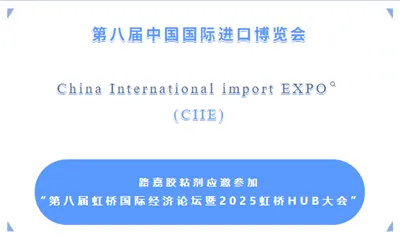 Panoramski pogled na 8. CIIE: Globalni centar za resurse, Luja Adhesives Foru...